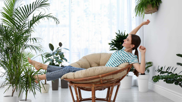 🏠✨ Clear Negative Energy & Restore Harmony: Remote House Cleansing for a Peaceful Home ✨🕊️